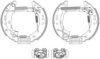 PAGID R1095 Brake Shoe Set